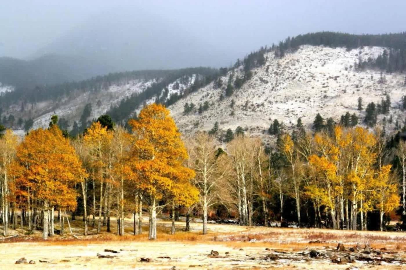 Renovated 2 Bedroom Condo W Hot Tub -Mountain Views! Snowmass Village Exterior foto